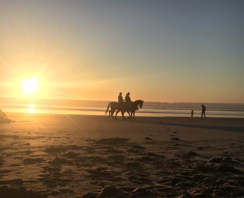 Grizzly Tuna by null