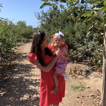 Gizdich Ranch - Photo op in the orchard. - Bakeries Near Me - Watsonville, California Gizdich Ranch - Photo op in the orchard. - Bakeries Near Me - Watsonville, California