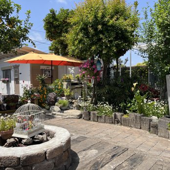 The Classic Cafe - part of garden area - Coffee & Tea Near Me - Fullerton, California The Classic Cafe - part of garden area - Coffee & Tea Near Me - Fullerton, California