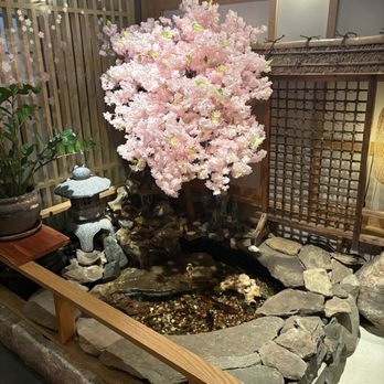 Nagomi Izakaya - Japanese Near Me - Boston, Massachusetts