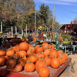 DePaul’s Urban Farm