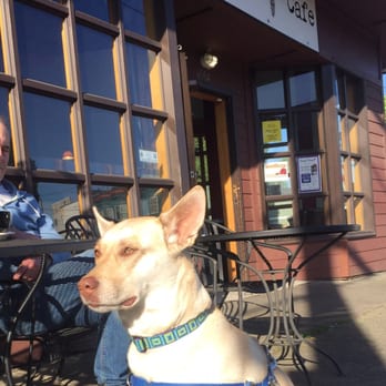 Pieper Cafe - Dog friendly seating outside! - Cafes Near Me - Portland, Oregon