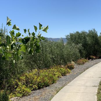 Azari Winery and Vineyards - Wine Tours Near Me - Petaluma, California