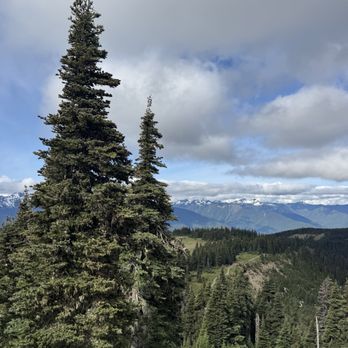 Olympic National Park - Hurricane ridge - Parks Near Me - Port Angeles, Washington