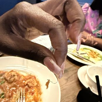 Blu Rose Art Bistro - Shrimp and grits with metal found in it - Paint & Sip Near Me - Douglasville, Georgia