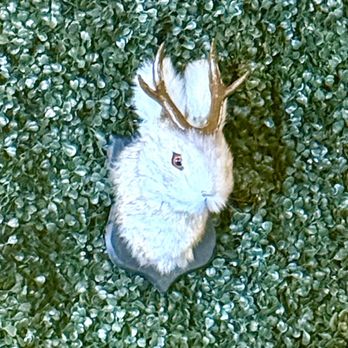 The Bear Trap - JACKALOPE! - Beer Bar Near Me - Big Bear Lake, California