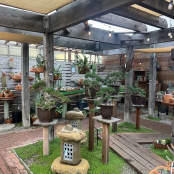 The Garden Gallery - Nurseries & Gardening Near Me - Morro Bay, California The Garden Gallery - Nurseries & Gardening Near Me - Morro Bay, California