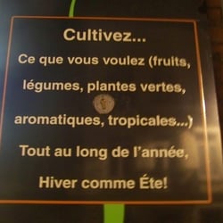 Culture Indoor