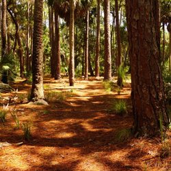Bulow Plantation RV Resort