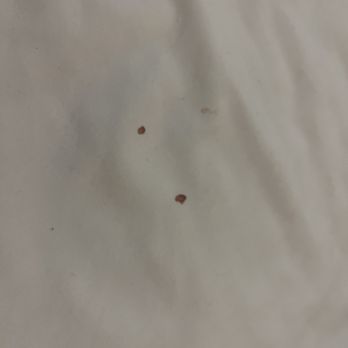 Red Roof Inn - Blood droplets - Hotels Near Me - San Dimas, California Red Roof Inn - Blood droplets - Hotels Near Me - San Dimas, California