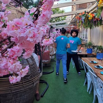 Tokyo Pearl - Exterior seating - Sushi Bars Near Me - Washington, DC, District of Columbia