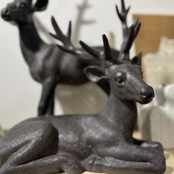 STAG & MANOR