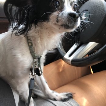 The Paw Spa - Pet Groomers Near Me - Corona, California The Paw Spa - Pet Groomers Near Me - Corona, California
