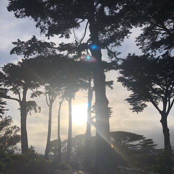 Alamo Square - Parks Near Me - San Francisco, California Alamo Square - Parks Near Me - San Francisco, California