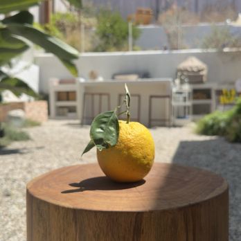 Loto Coffee - Citrus Fruit - Cafes Near Me - Los Angeles, California Loto Coffee - Citrus Fruit - Cafes Near Me - Los Angeles, California