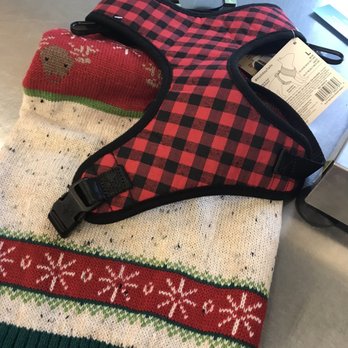 Petco - Sam's gonna be stylish - Pet Stores Near Me - Birmingham, Alabama