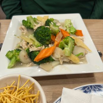 Oriental House - 23. Chicken Broccoli (Special Luncheon) - Chinese Near Me - St Matthews, Kentucky Oriental House - 23. Chicken Broccoli (Special Luncheon) - Chinese Near Me - St Matthews, Kentucky