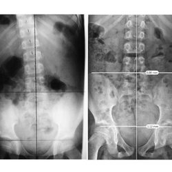 McCormick Chiropractic - Structure Determines Function