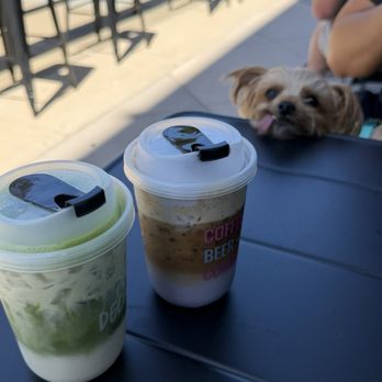 Pour Decisions Craft - Matcha Latte and Blueberry Latte - Coffee & Tea Near Me - Fremont, California Pour Decisions Craft - Matcha Latte and Blueberry Latte - Coffee & Tea Near Me - Fremont, California