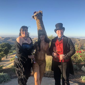 DAOU Vineyards - Wineries Near Me - Paso Robles, California DAOU Vineyards - Wineries Near Me - Paso Robles, California