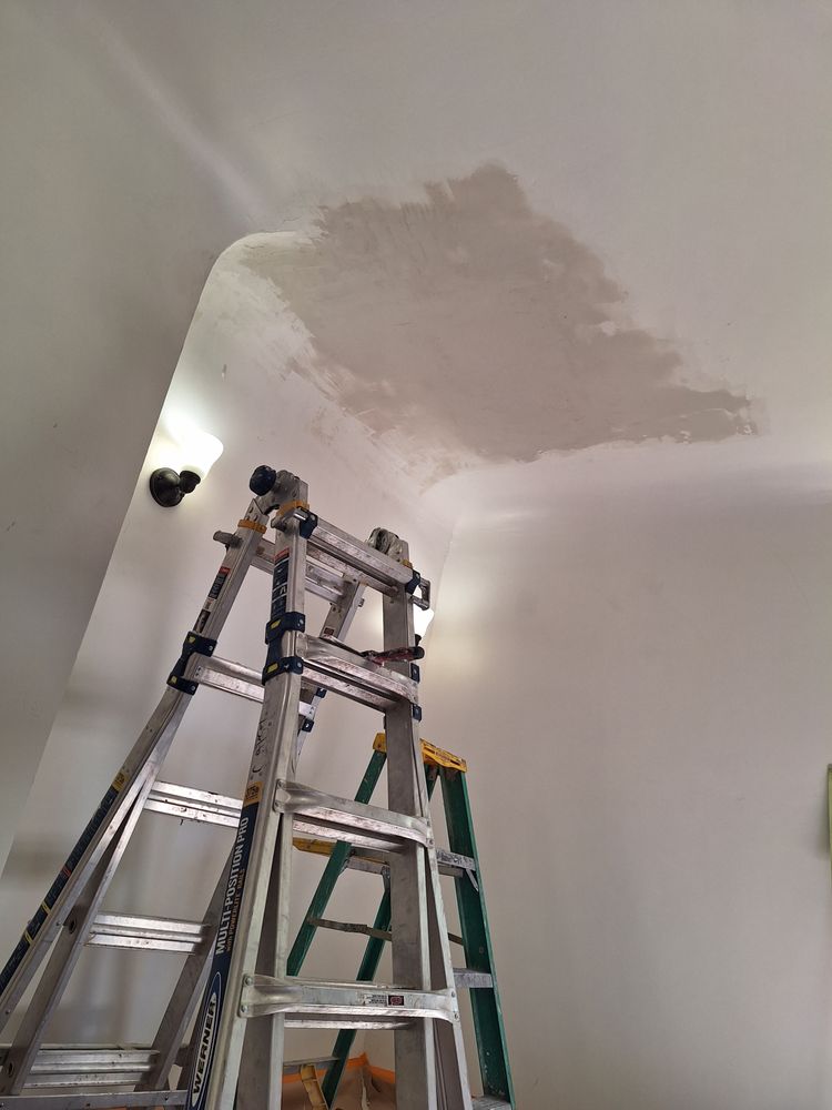 LUXURIOUS CUSTOM PAINTINGS & DESIGNS Updated October 2024 29 Photos