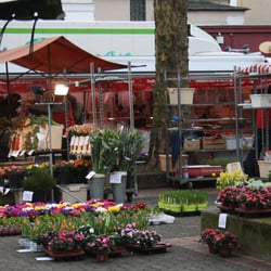 Wochenmarkt Südstadt - Wochenmarkt Südstadt- Stephansplatz, Hannover