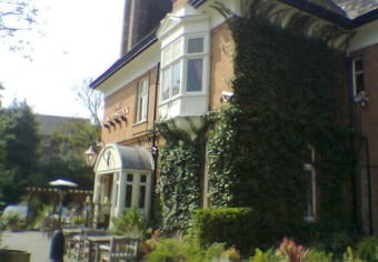 The Woodstock by null