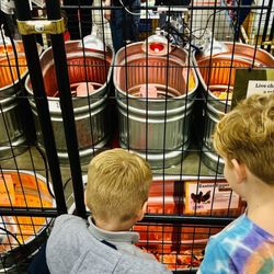 Tractor Supply