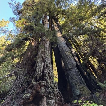 Russian Gulch State Park - Parks Near Me - Mendocino, California Russian Gulch State Park - Parks Near Me - Mendocino, California