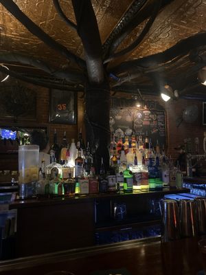 The Treehouse by null