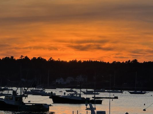 Boothbay Lobster Wharf by null
