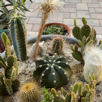 Duncheon's Nursery - Nurseries & Gardening Near Me - Land O Lakes, Florida Duncheon's Nursery - Nurseries & Gardening Near Me - Land O Lakes, Florida