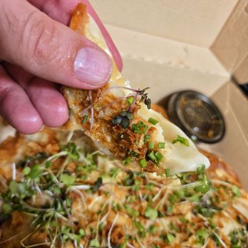 The BAO - Pizza Gyoza, highly recommend - Asian Fusion Near Me - Clayton, Missouri The BAO - Pizza Gyoza, highly recommend - Asian Fusion Near Me - Clayton, Missouri