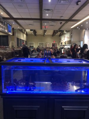 Red Lobster by null