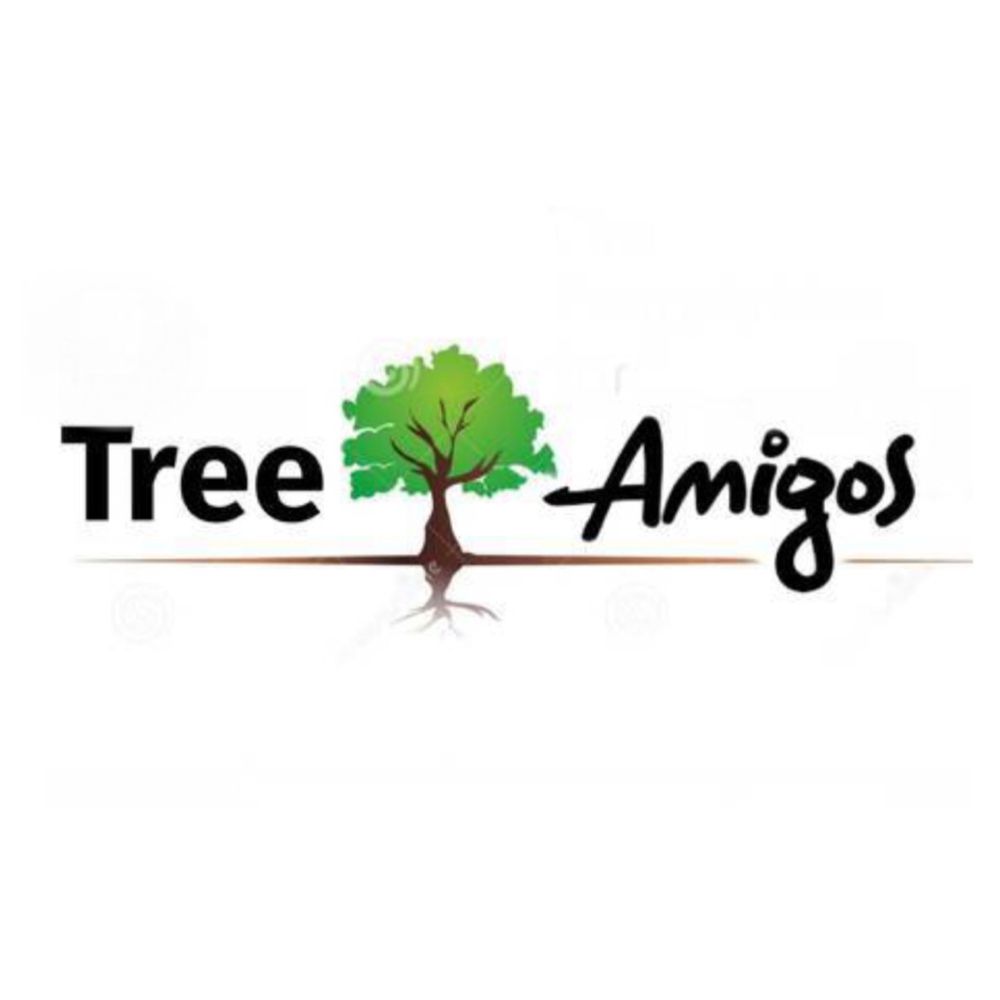 Tree Amigos Orlando - tree service in Orlando, FL