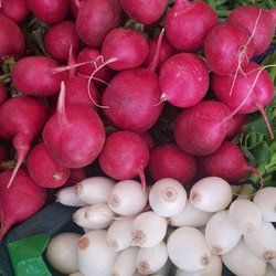 Mercado Hidalgo