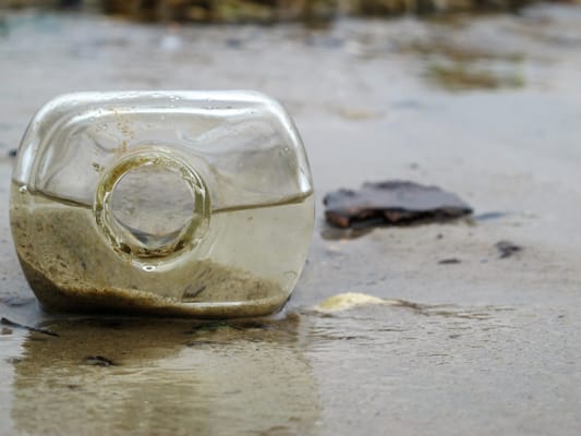 Dead Horse Bay by null