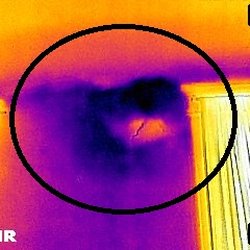NY STANDARD Home Inspection Consultants - Hidden water intrusion?