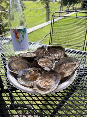 Saudé Creek Vineyards by null