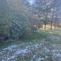 Crestview Landscaping - Before