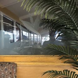 Ay Papa Que Rico - Cool etched glass window
