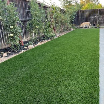 Premium Turf - a dog in the backyard - Artificial Turf Near Me Premium Turf - a dog in the backyard - Artificial Turf Near Me