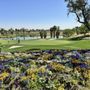 Photo of Tradition Golf Club