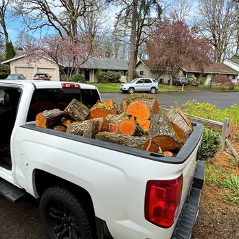 Black Roots - Wood drop! - Tree Services Near Me Black Roots - Wood drop! - Tree Services Near Me
