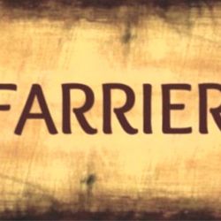 Taylor Walther Farrier Services