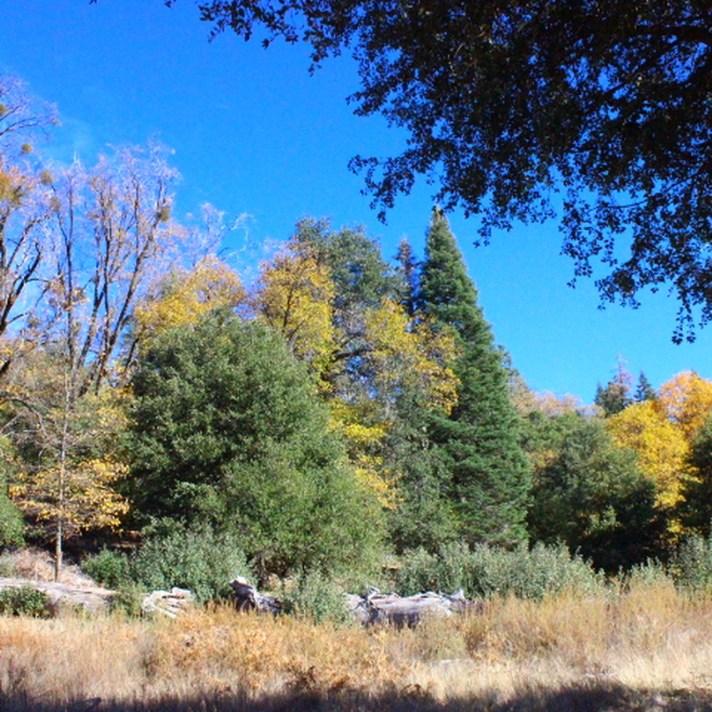 Palomar Mountain State Park - Doanne Valley Pond Trail, easy loop around and beautiful. Full of deers roaming! - Parks Near Me - Palomar Mountain, California