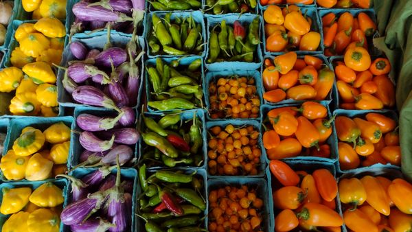 U City Farmers Market by null