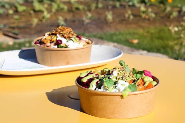 Lunch Box at Copia by null