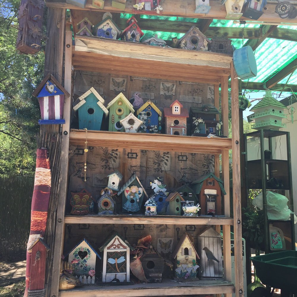 Essence of Tranquility - Bird houses at front of property - Campgrounds Near Me - Safford, Arizona Essence of Tranquility - Bird houses at front of property - Campgrounds Near Me - Safford, Arizona