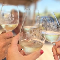 Behind The Scenes Wine Tours